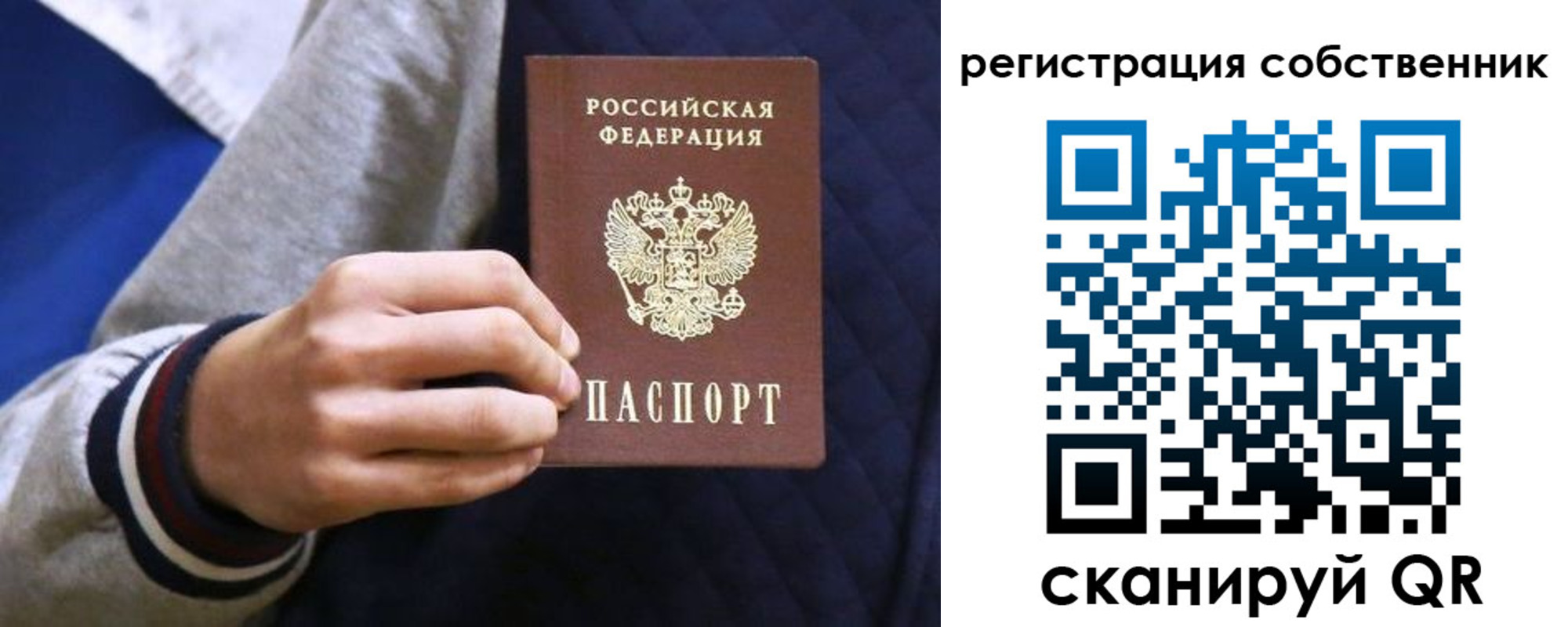 прописка поиск в Брянске